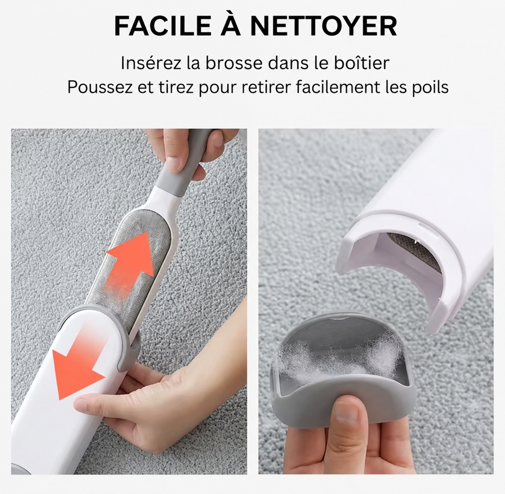 Brosse anti-poils pour vêtements avec boîtier nettoyant