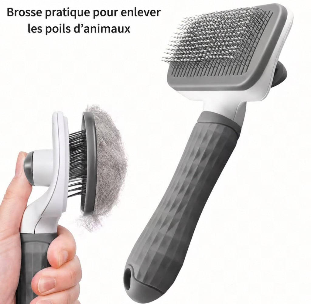 Brosse de toilettage avec bouton de nettoyage pour animaux